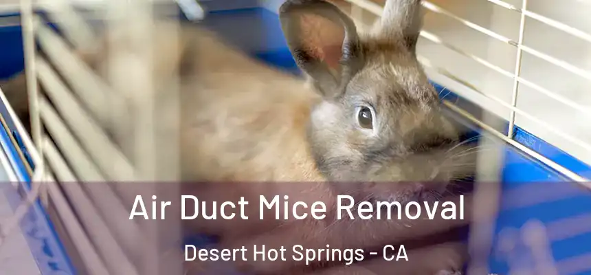  Air Duct Mice Removal Desert Hot Springs - CA