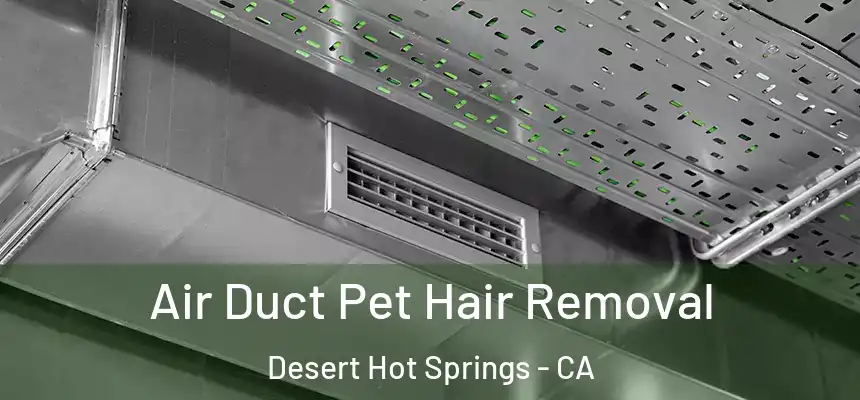  Air Duct Pet Hair Removal Desert Hot Springs - CA