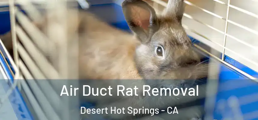  Air Duct Rat Removal Desert Hot Springs - CA