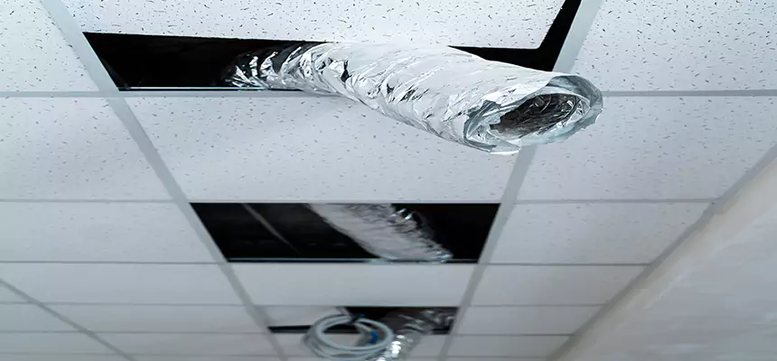 Affordable HVAC Sanitizing After Pest Removal in Desert Hot Springs