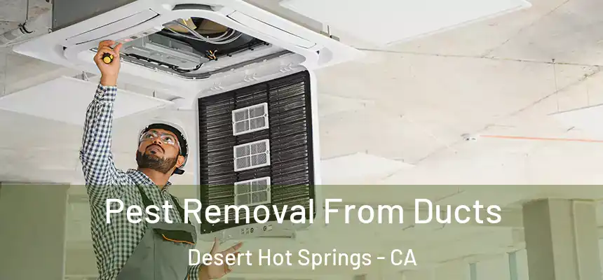  Pest Removal From Ducts Desert Hot Springs - CA
