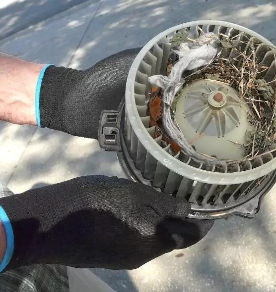 About Air Duct Rat Removal in Desert Hot Springs, CA