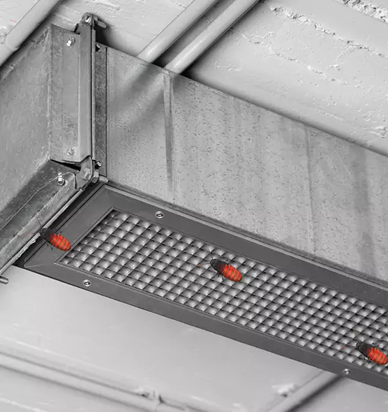 Affordable Insect Removal from Air Ducts in Desert Hot Springs, CA