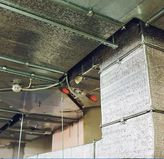 Why Homeowners & Businesses Trust Us in Desert Hot Springs, CA?