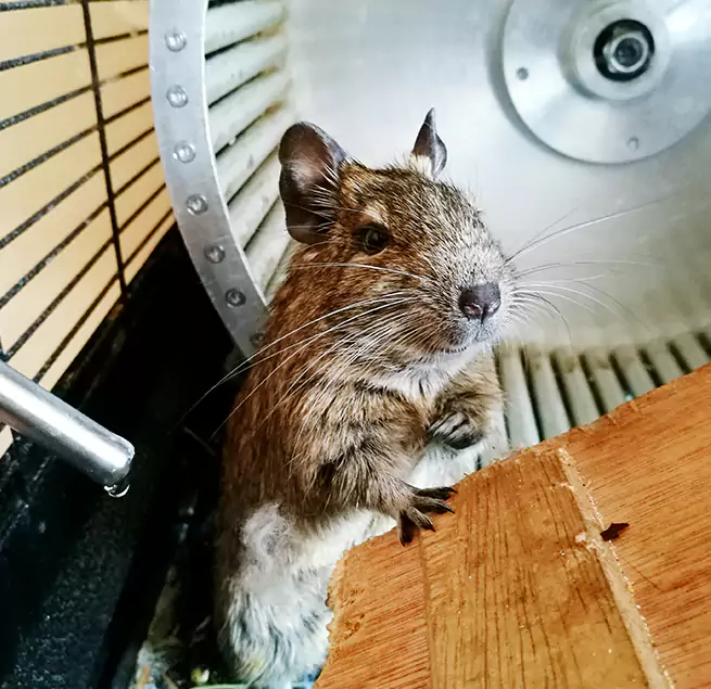 Why Homeowners & Businesses Trust Us Desert Hot Springs, CA?